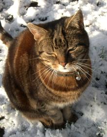Locked out - I had snow-where to go!